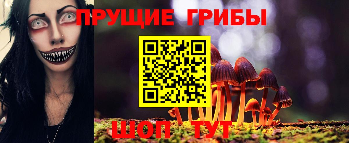 Галлюциногенные грибы GOLDEN TEACHER Вязники